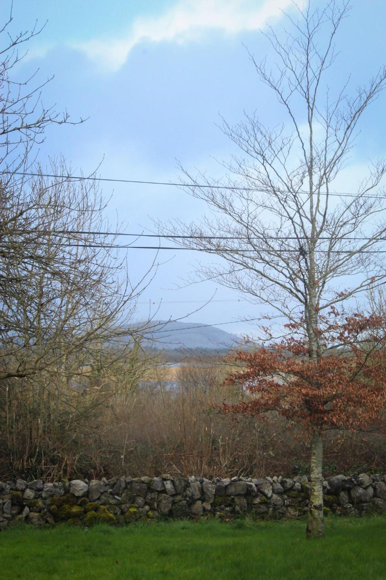Riverside Cottage In The Burren Corofin  외부 사진