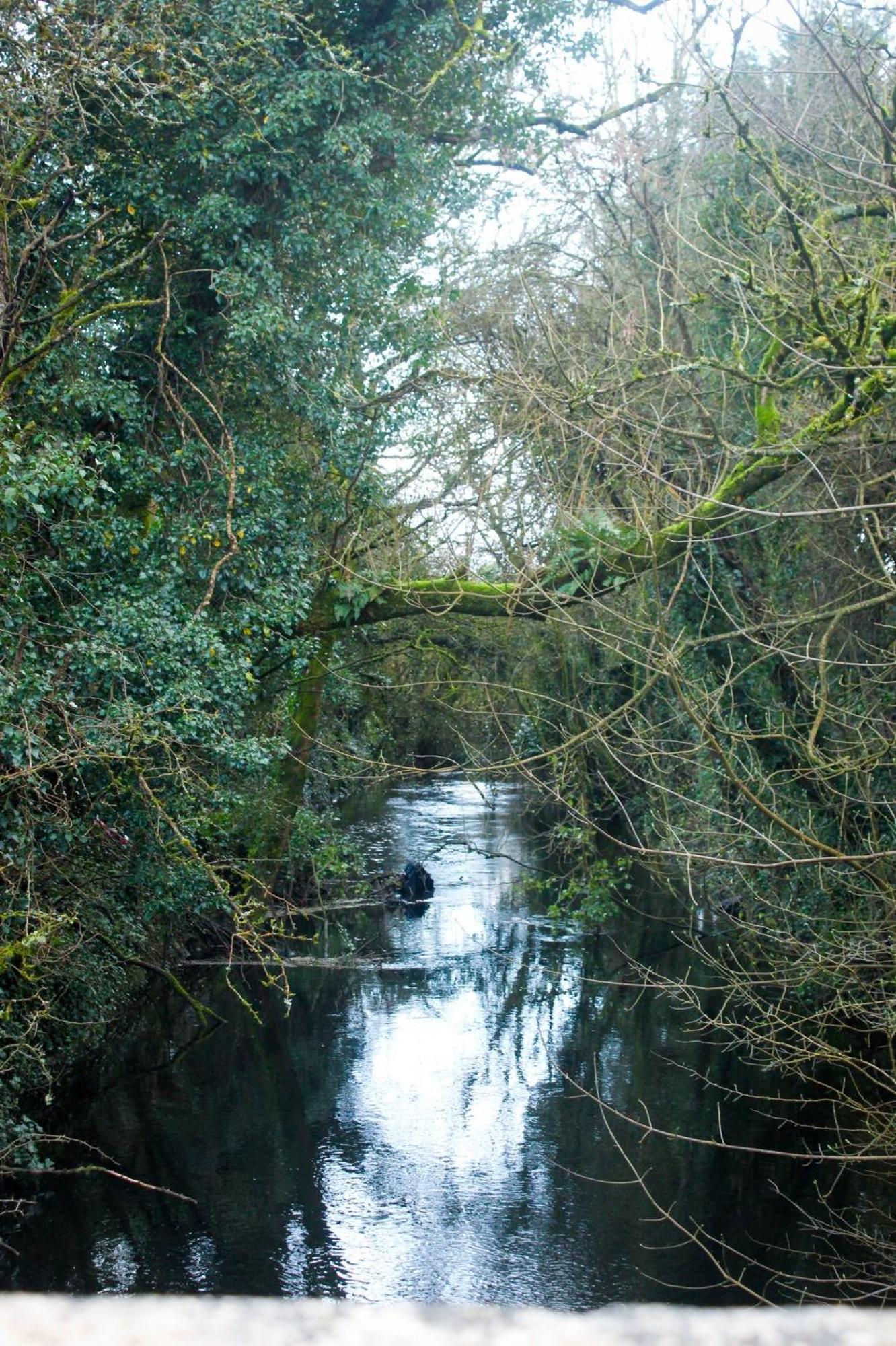 Riverside Cottage In The Burren Corofin  외부 사진